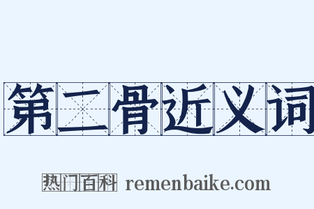 第二骨近义词是什么意思的图片